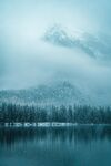 林海雪缘