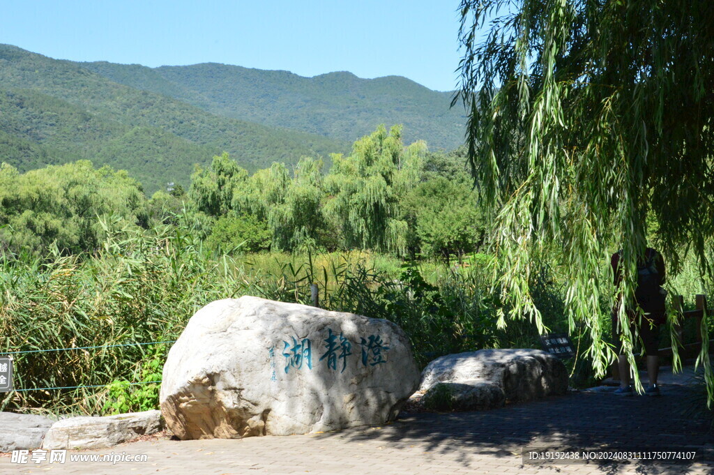 公园风景 