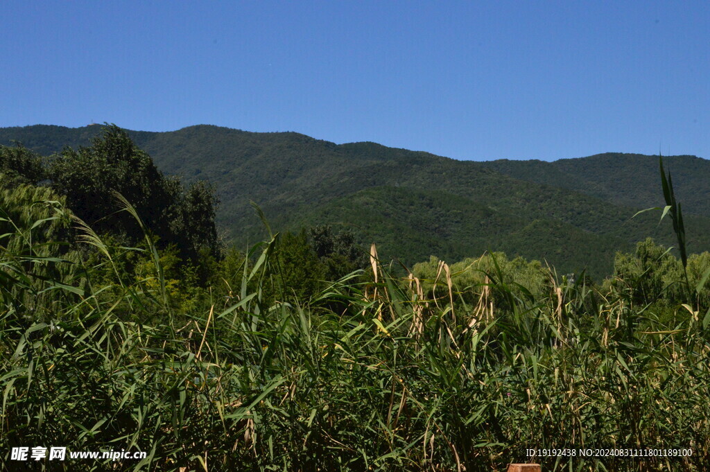 公园风景