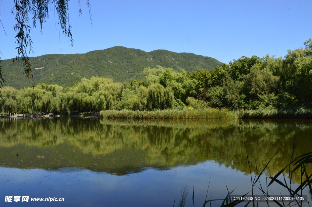 植物园风景