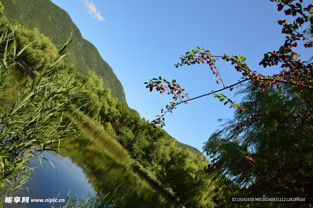 植物园风景