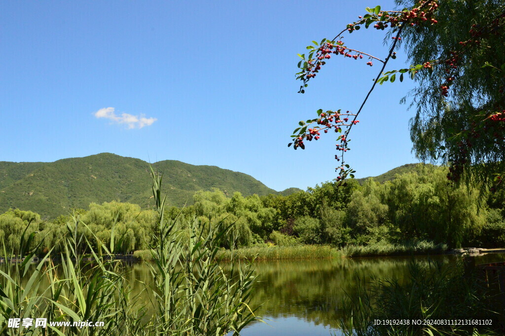 公园风景