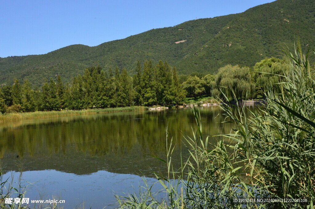 公园风景