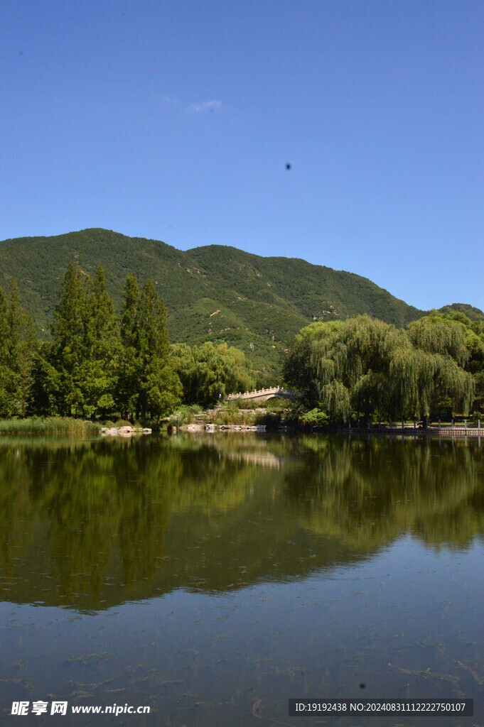 植物园风景