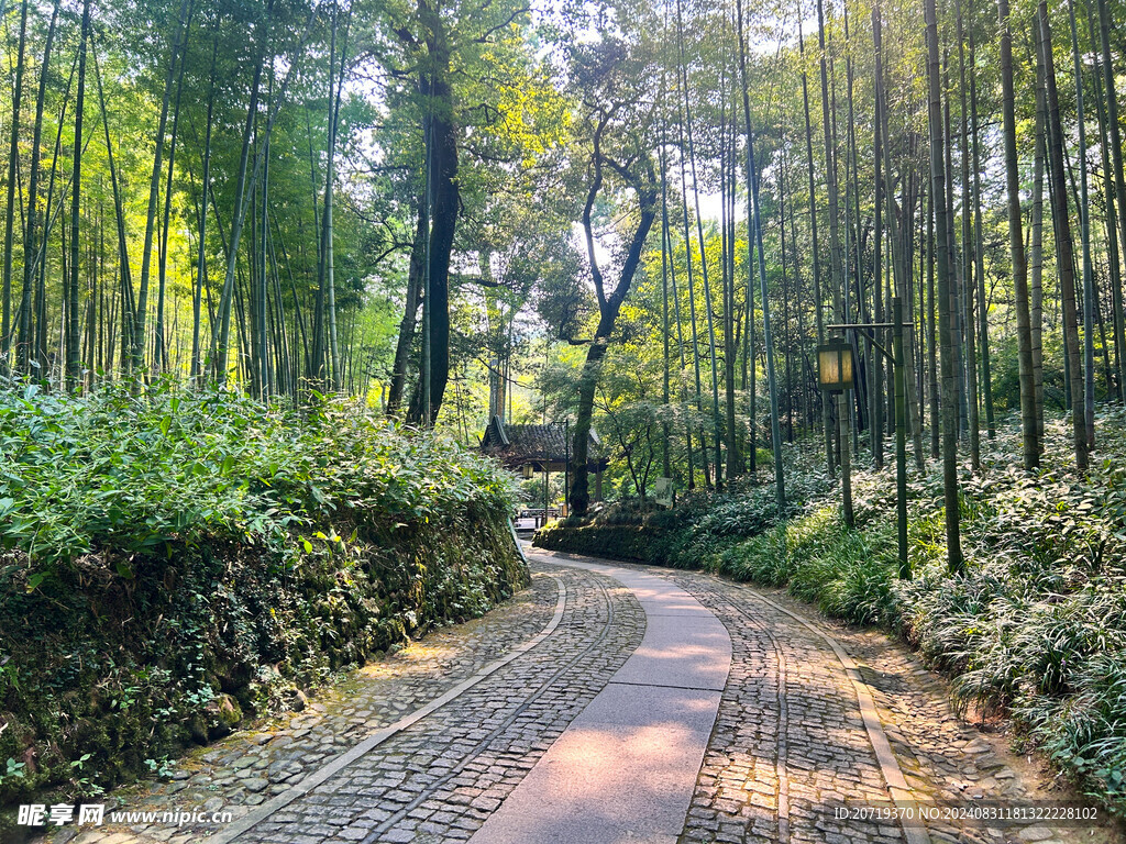 山路