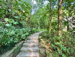 山路