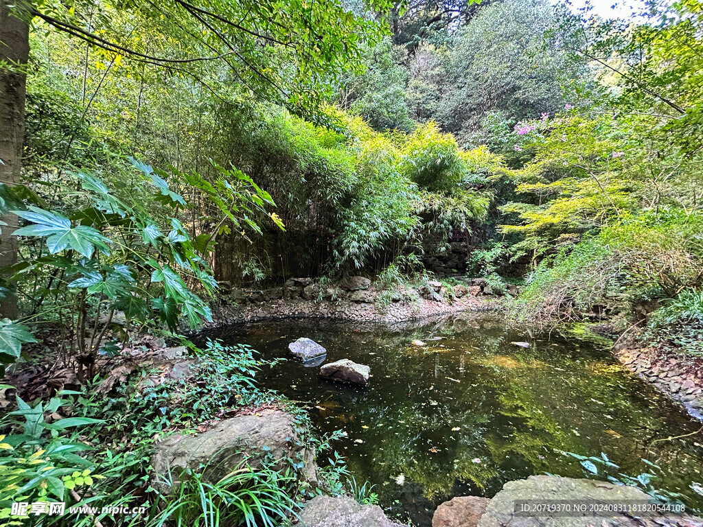 水塘