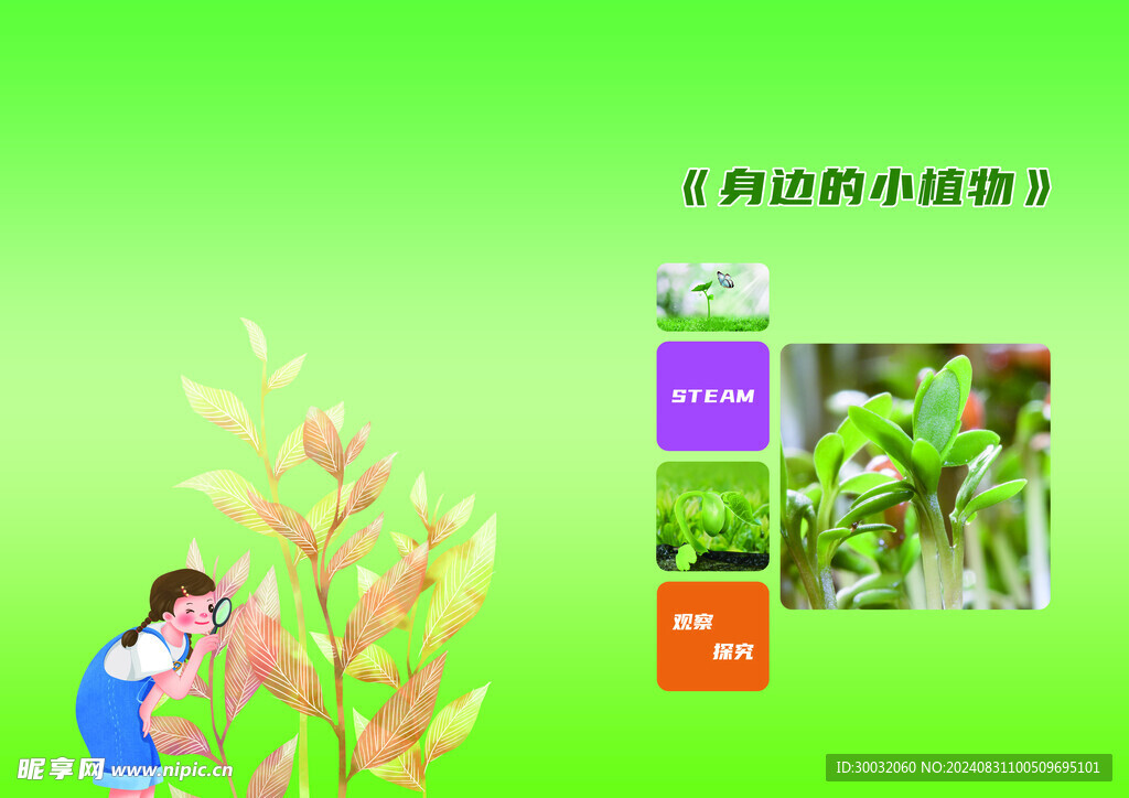 身边的小植物封面