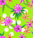 热带花