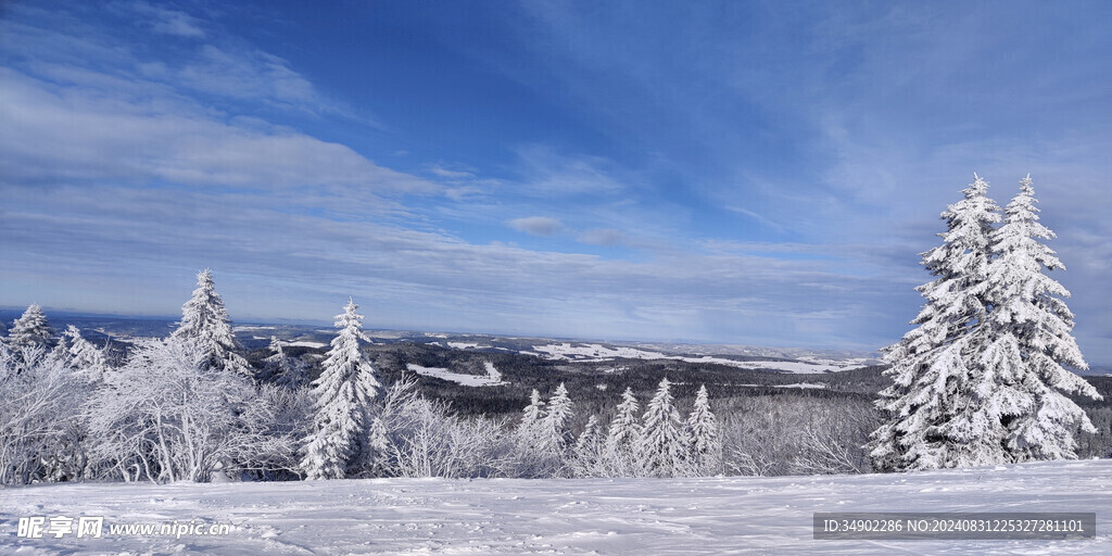 冬季雪地