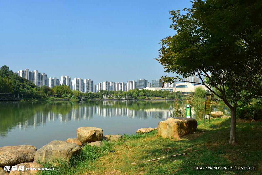 城市里的湖畔公园