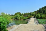 城市公园一角