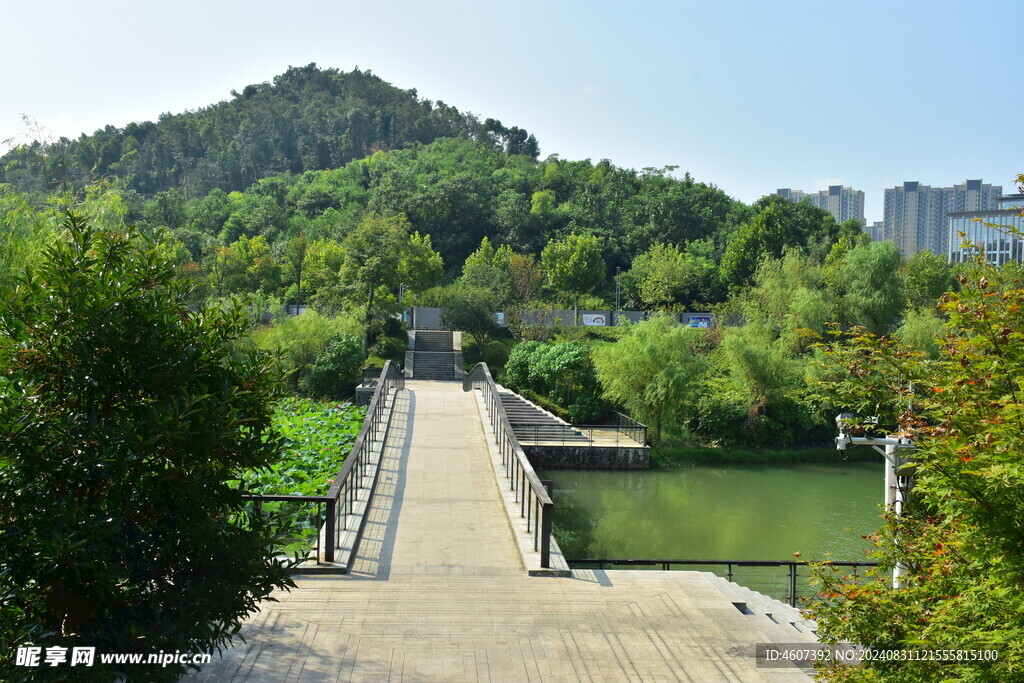 城市公园一角