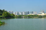 湖畔公园