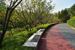 公园绿色漫道