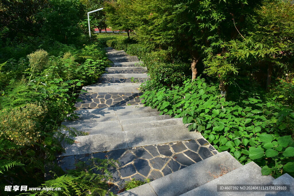 石板小路