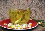 甘菊花茶