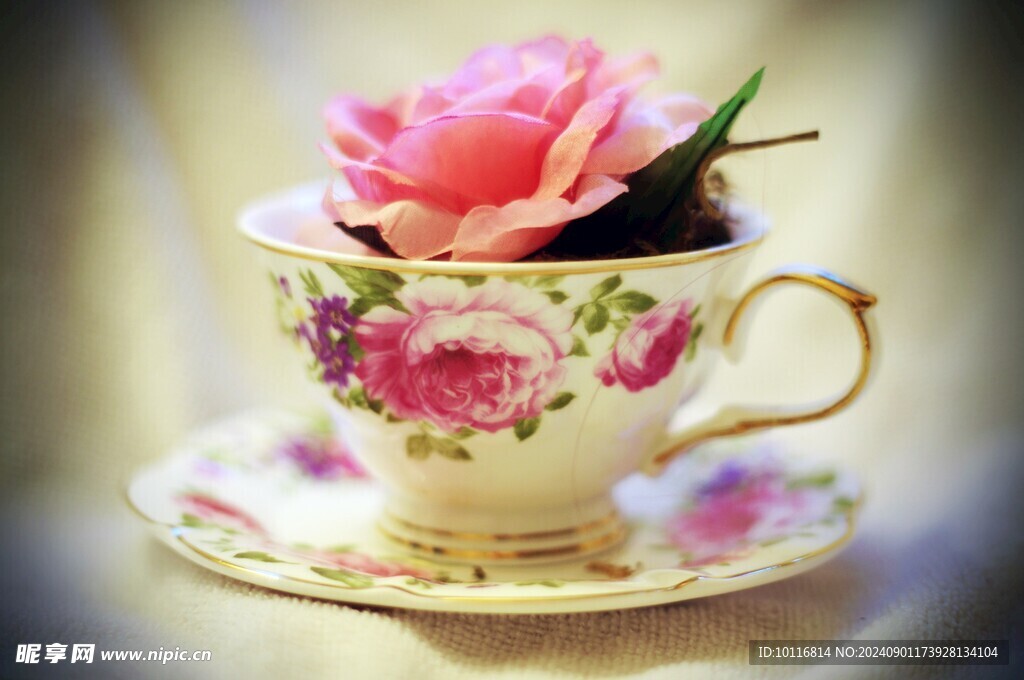玫瑰花茶