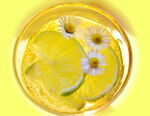 青柠菊花茶