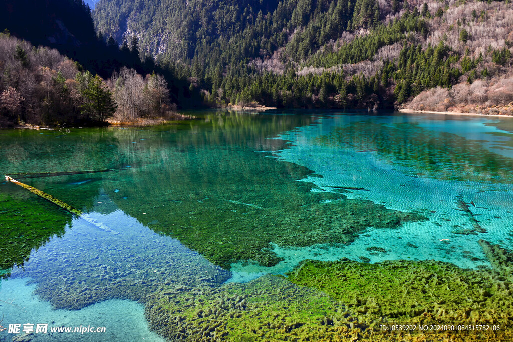 九寨沟风景