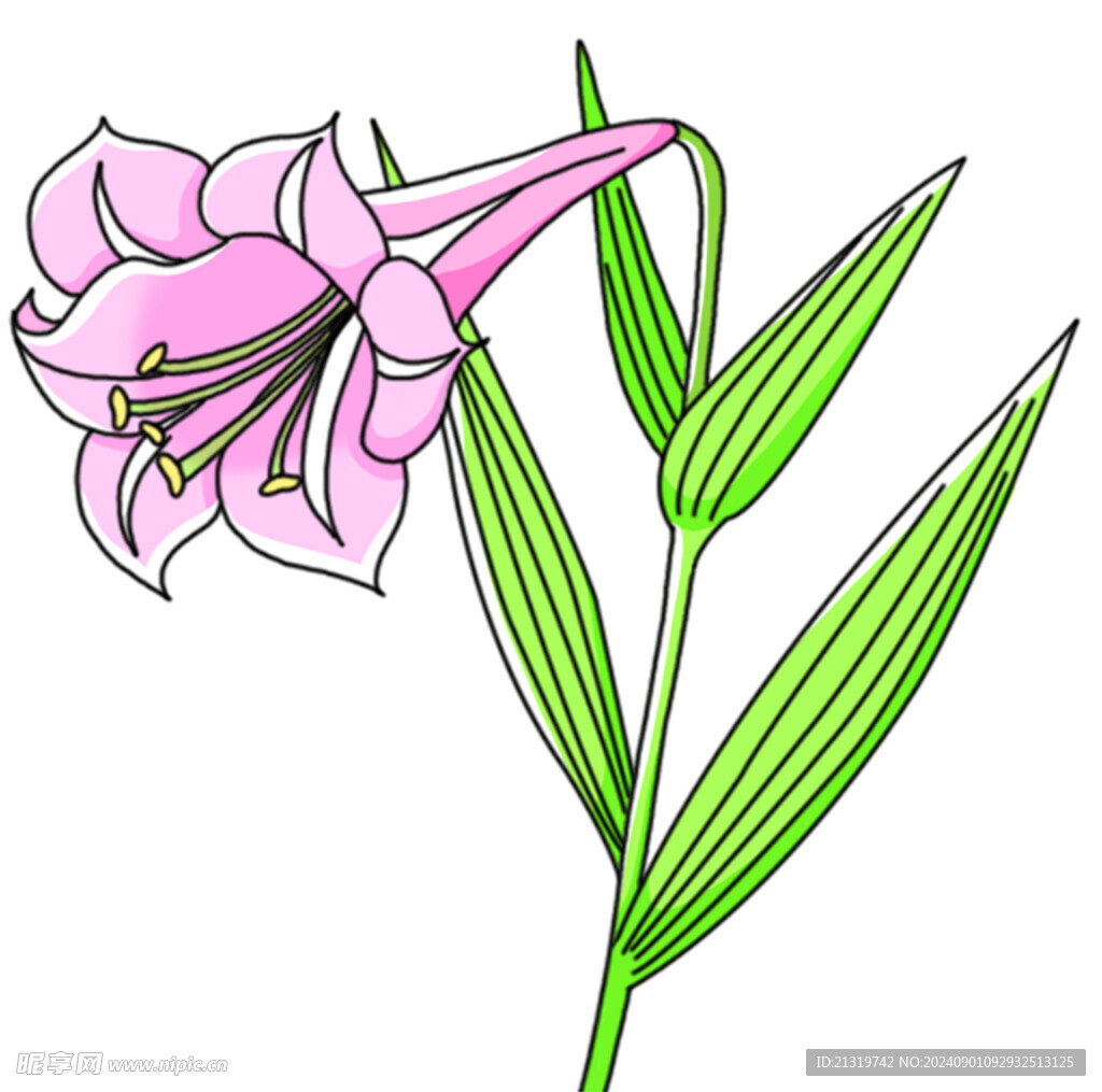 卡通手绘花朵