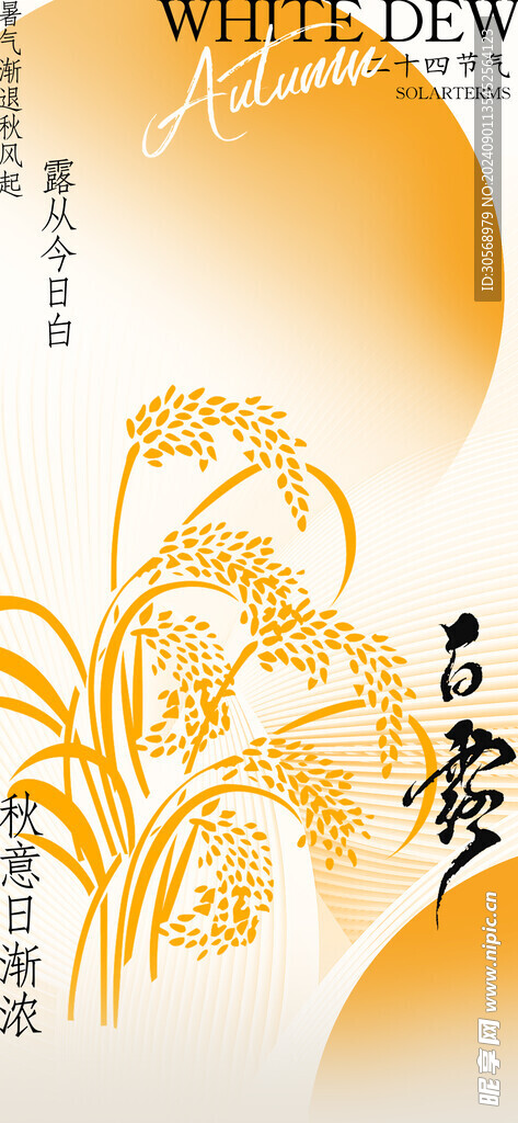 白露