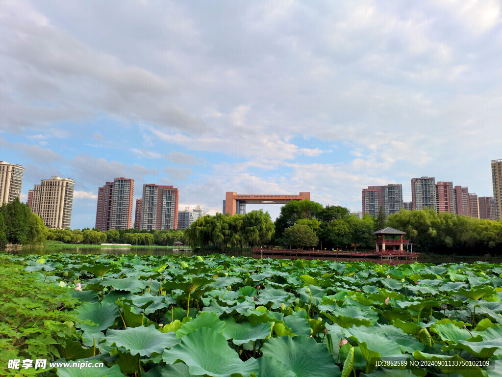 公园风景 