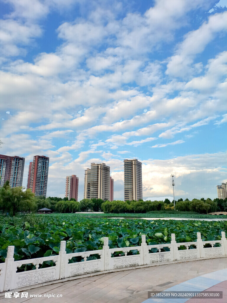 公园唯美风景 