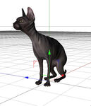 C4D模型 猫