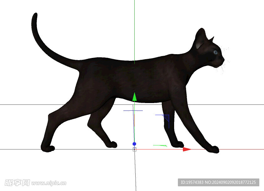 C4D模型 猫  