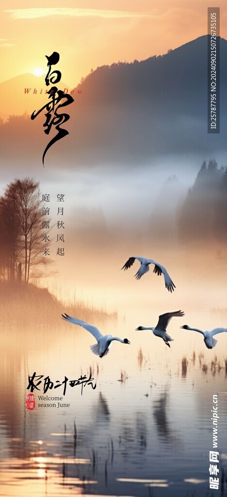 白露海报