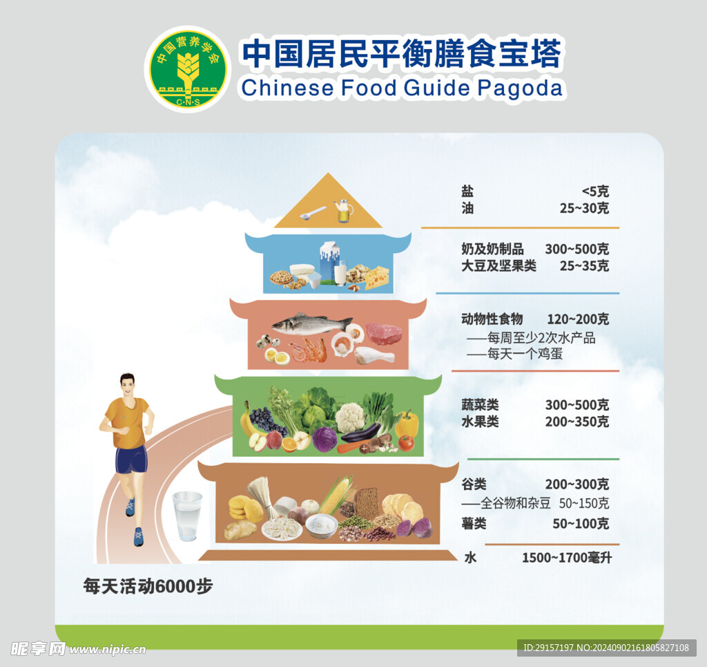 膳食宝塔