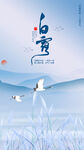 白露节气海报