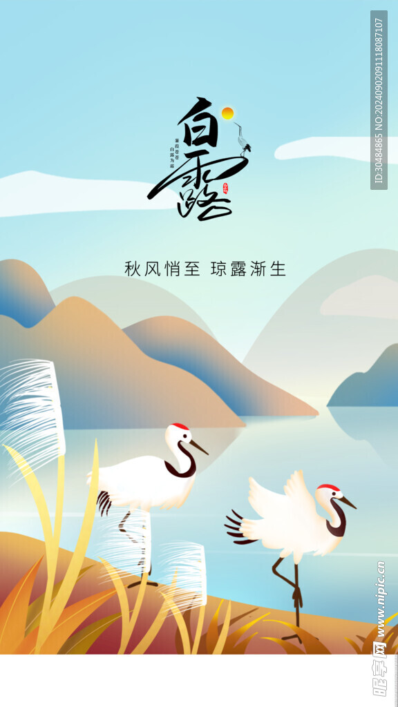 白露