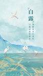 白露海报
