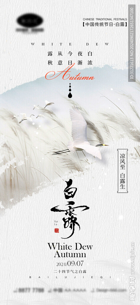 白露节气宣传海报