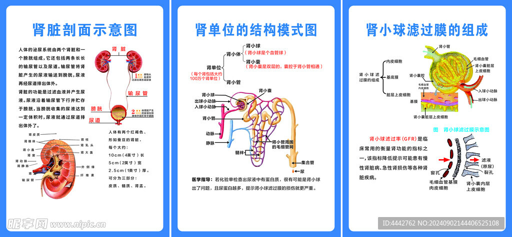 肾内科健康宣教