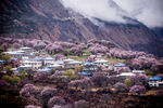 山下村庄