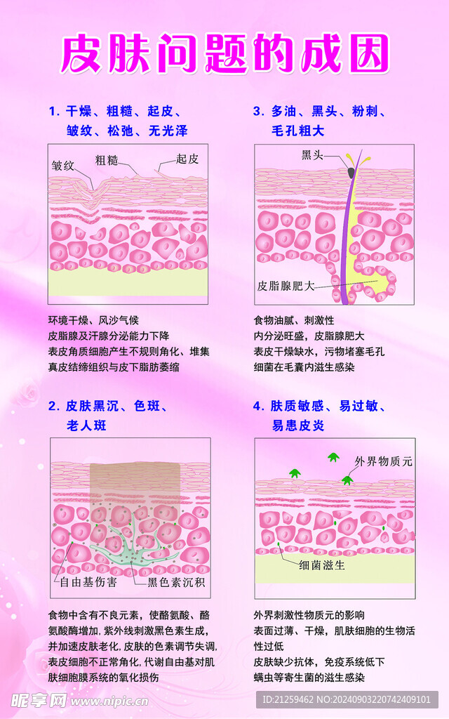皮肤问题成因图解分析图