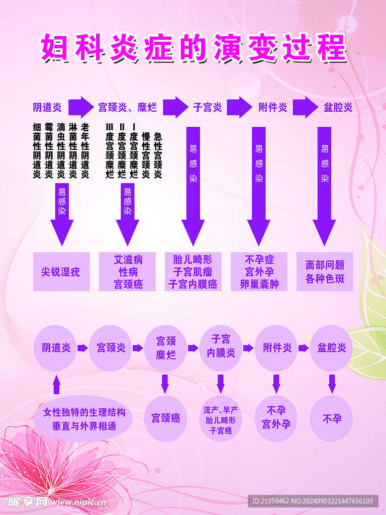 妇科炎症演变过程