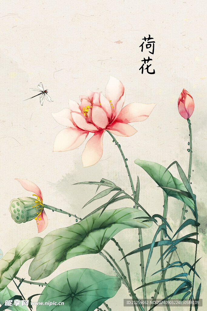 荷花装饰画