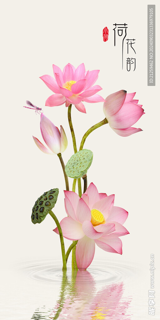 荷花