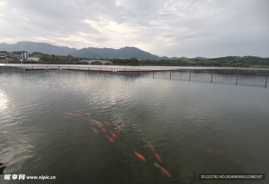 石家庄  龙泉湖 湿地公园  