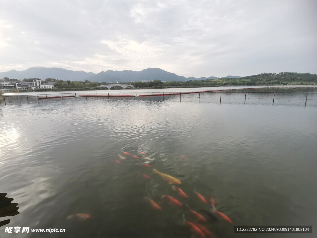 石家庄  龙泉湖 湿地公园  