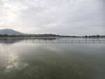 石家庄  龙泉湖 湿地公园  