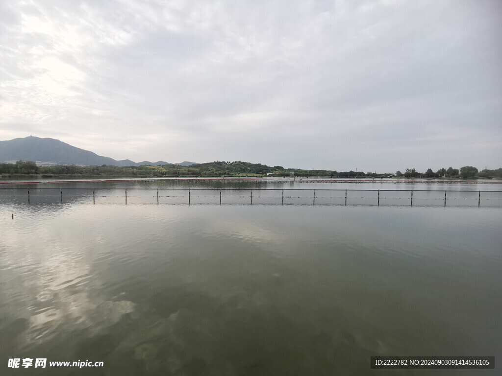 石家庄  龙泉湖 湿地公园  