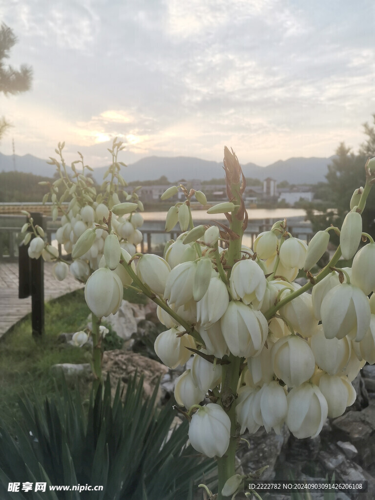 石家庄  龙泉湖 湿地公园 