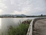 石家庄龙泉湖湿地公园  