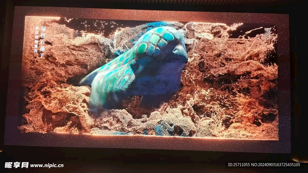 文物   博物馆   历史  