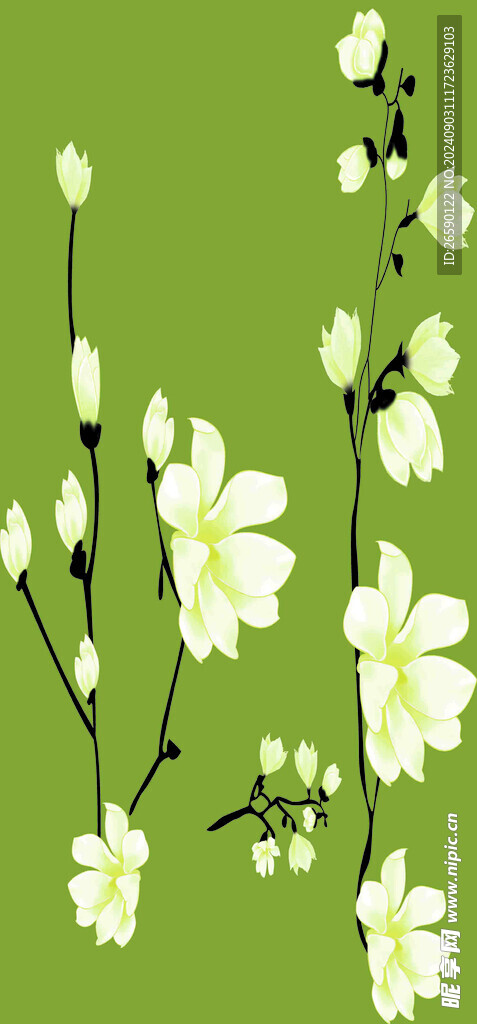 水仙花
